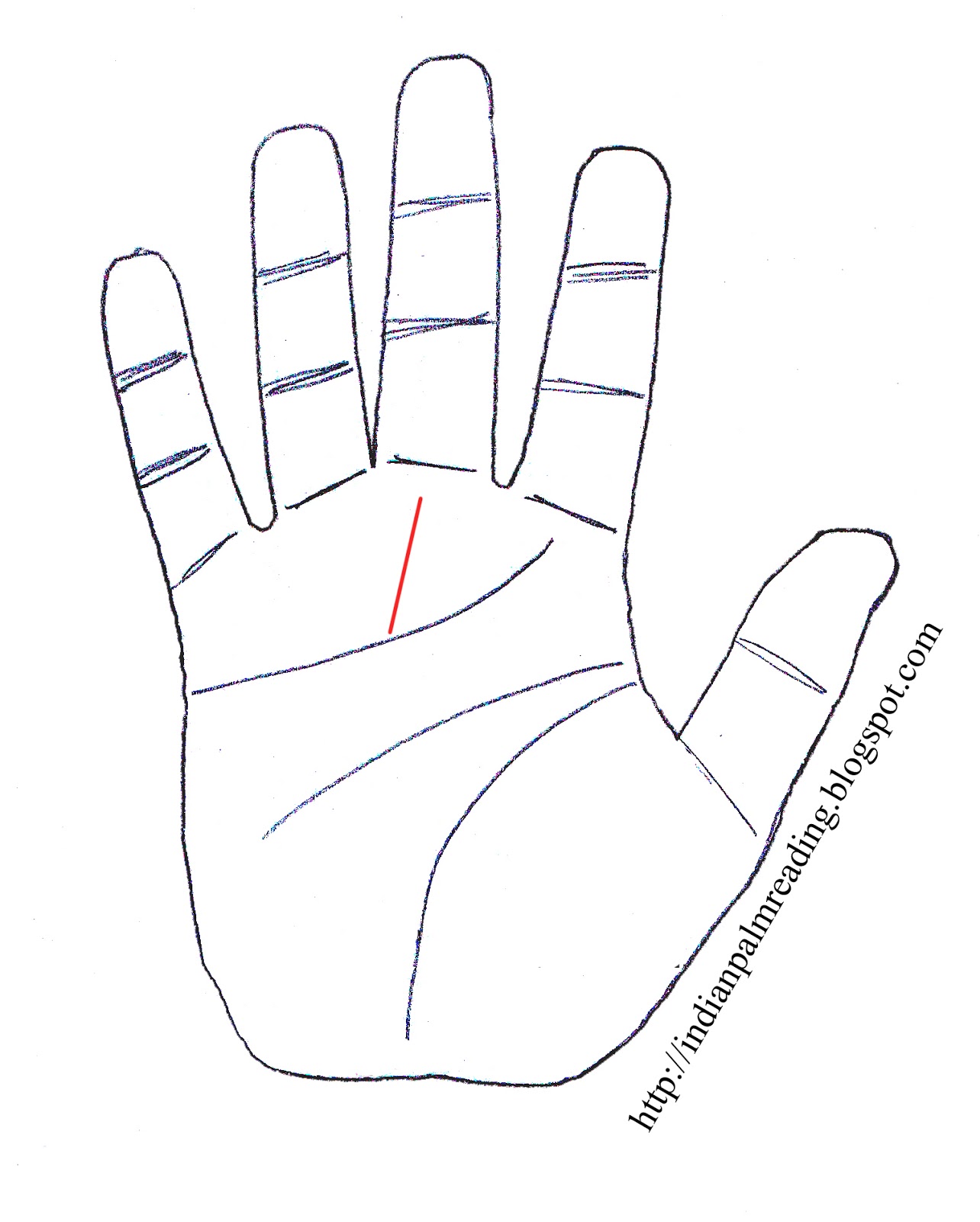 Meaning of Fate Line In Indian Palmistry | INDIAN PALM READING ... Meaning of Fate Line In Indian Palmistry | INDIAN PALM READING ...